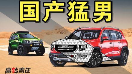 国产车过关视频教程,轻松掌握驾驶技巧