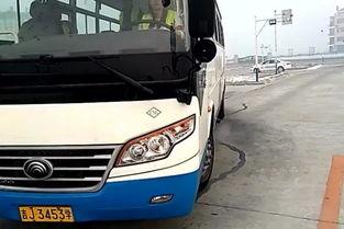 国产轿车侧方停车视频,轻松驾驭，停车无忧