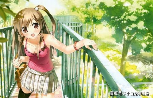 国产动漫美女解说视频,带你领略国漫魅力