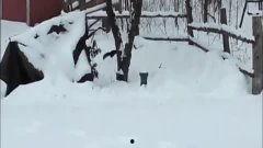 国产雪地摔倒搞笑视频,国产搞笑摔倒视频集锦