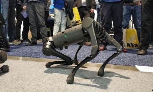 中国产机器狗视频