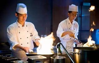 国产厨师节目大全视频