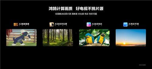 国产高清视频V,引领视觉盛宴的国产力作