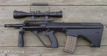 国产名枪简介大全集视频