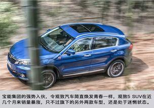 国产车中控室视频播放器,智能娱乐新体验