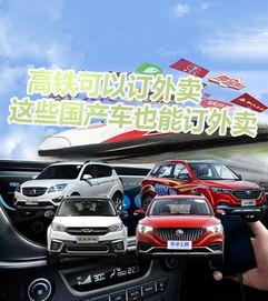 国产车怎么跑外卖的呢视频,高效便捷的物流解决方案