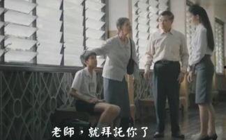 感人国产教育视频,国产教育视频里的感人瞬间