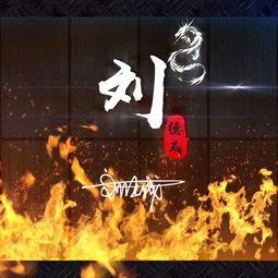 国产头像特效同款视频,揭秘热门特效制作技巧