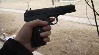 国产假枪视频大全,视频大全中的仿真武器解析