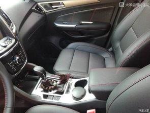 国产车漆厚的视频,视频深度解析