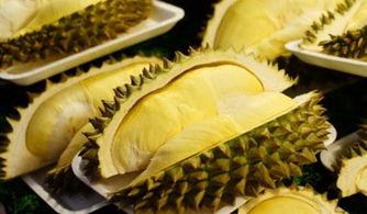 品尝国产榴莲视频大全免费  第2张